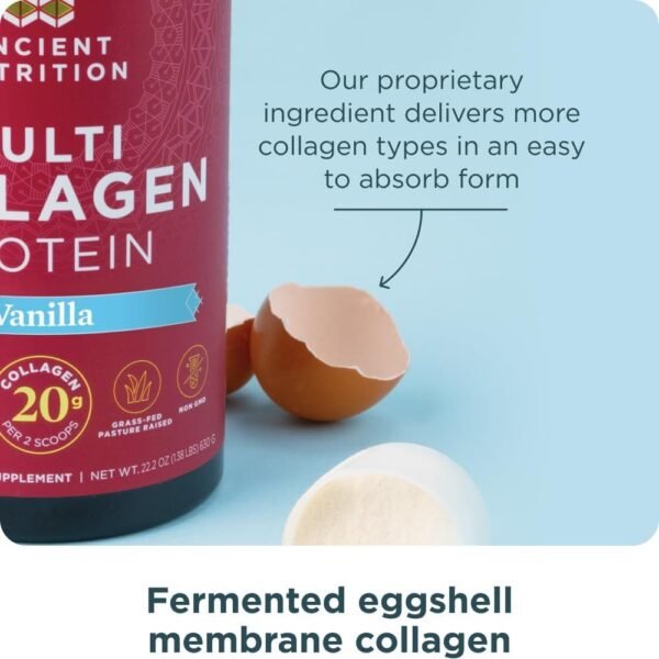 Collagen Powder Protein