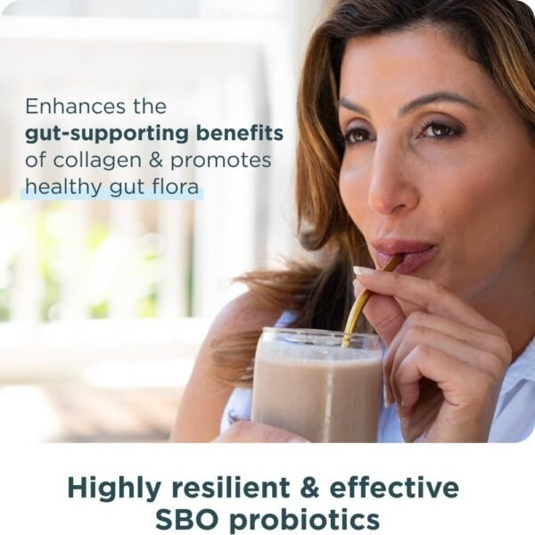 Collagen Powder Protein