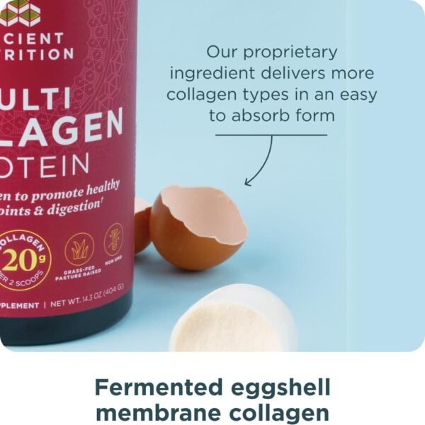 Collagen Powder Protein with Probiotics