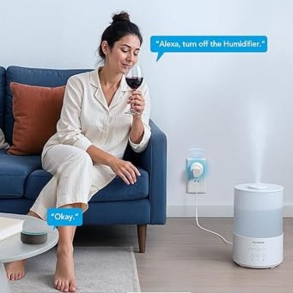 Govee Smart WiFi Plug
