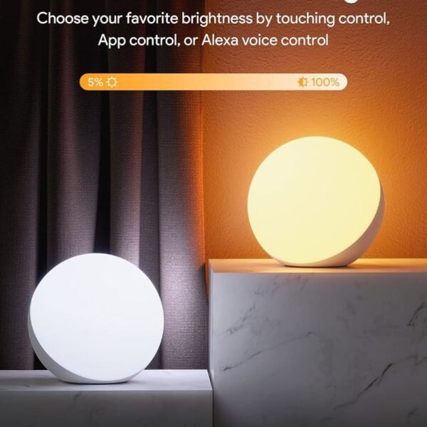 Hifree Smart Table Lamp with Alexa