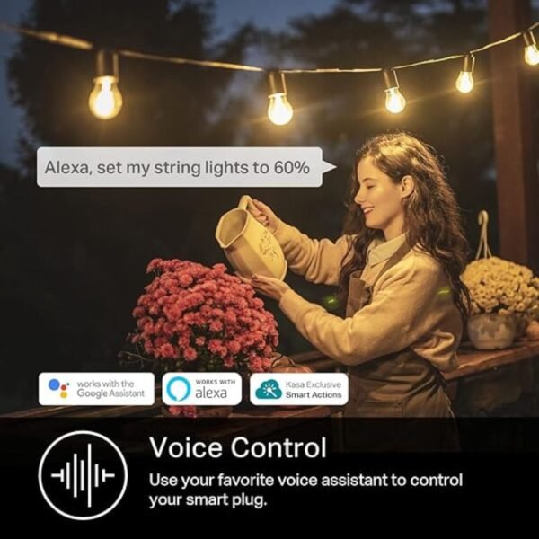 Kasa Outdoor Smart Plug IP64