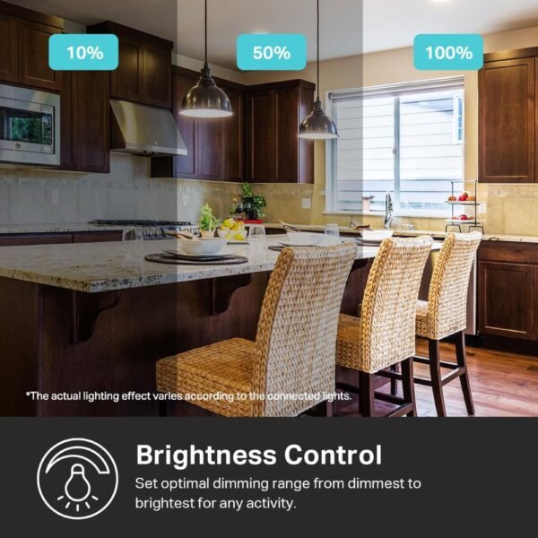 1 Pack Kasa Smart Dimmer Switch HS220