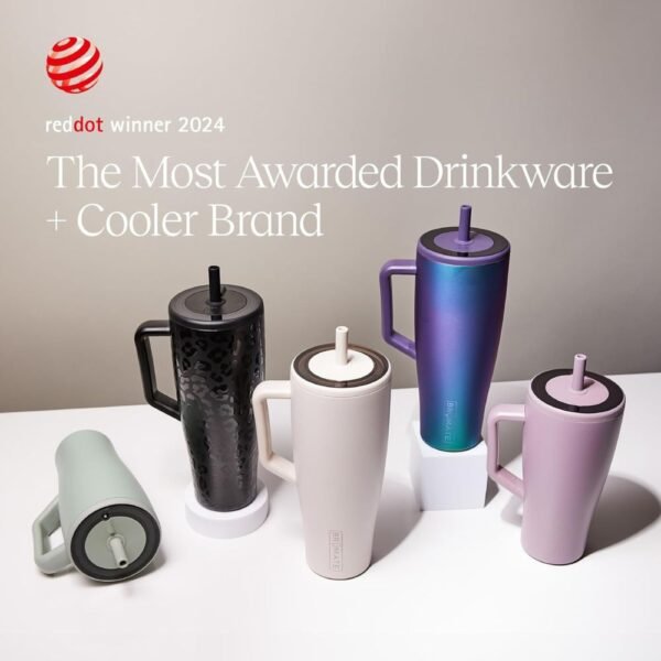 Leakproof Insulated Tumbler with Lid and Straw