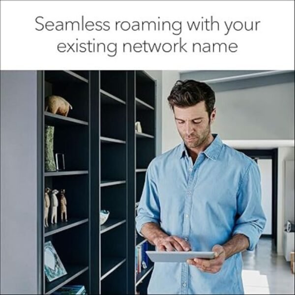 NETGEAR WiFi Mesh Range Extender (EX6250)