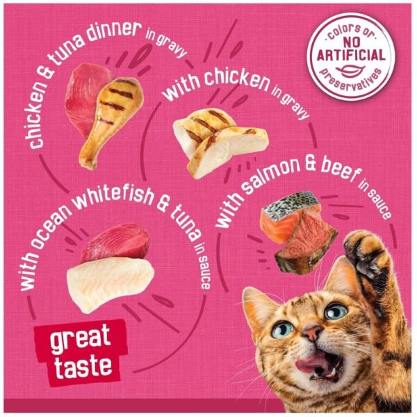Purina Friskies Gravy Wet Cat Food- 48 ct. Can