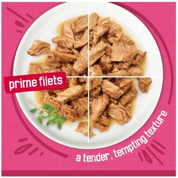 Purina Friskies Gravy Wet Cat Food- 48 ct. Can