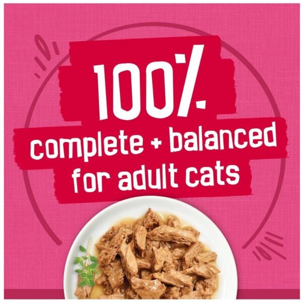 Purina Friskies Gravy Wet Cat Food- 48 ct. Can