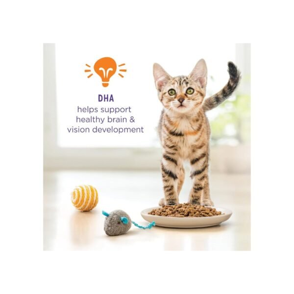 Purina Kitten Chow
