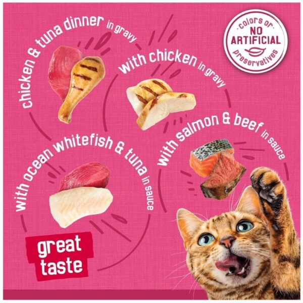 Purina Friskies Gravy Wet Cat Food– (Pack of 40) 5.5 oz. Cans