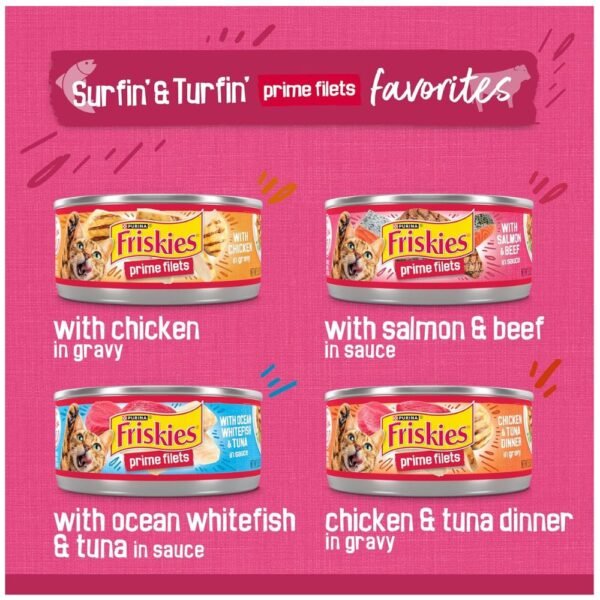 Purina Friskies Gravy Wet Cat Food– (Pack of 40) 5.5 oz. Cans