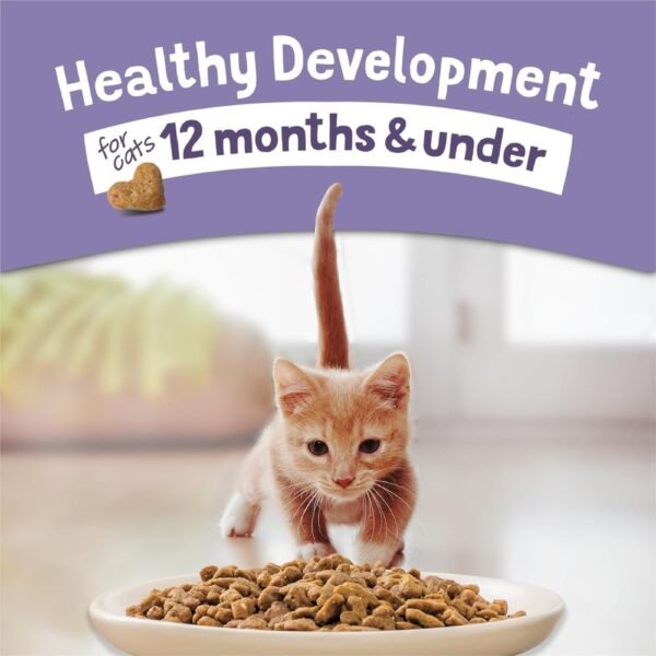 Purina Kitten Chow