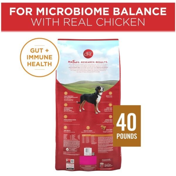Purina ONE Chicken