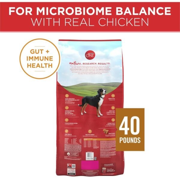 Purina ONE Chicken