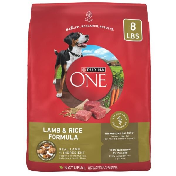 Purina ONE Dry Dog Food