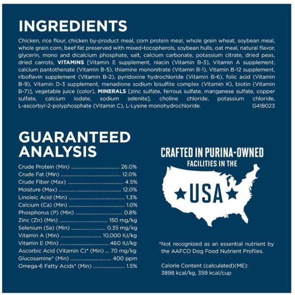 Purina ONE Plus Large Breed Adult Dog