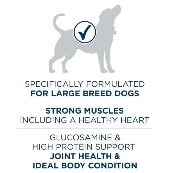 Purina ONE Plus Large Breed Adult Dog
