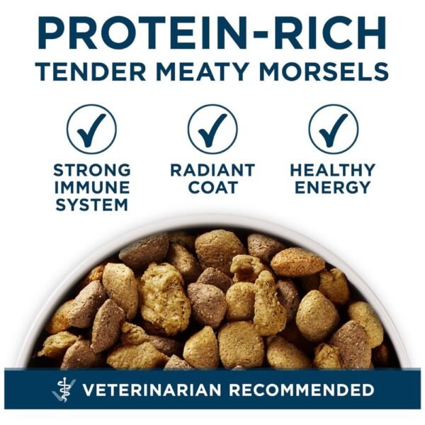 Purina ONE Plus Large Breed Adult Dog