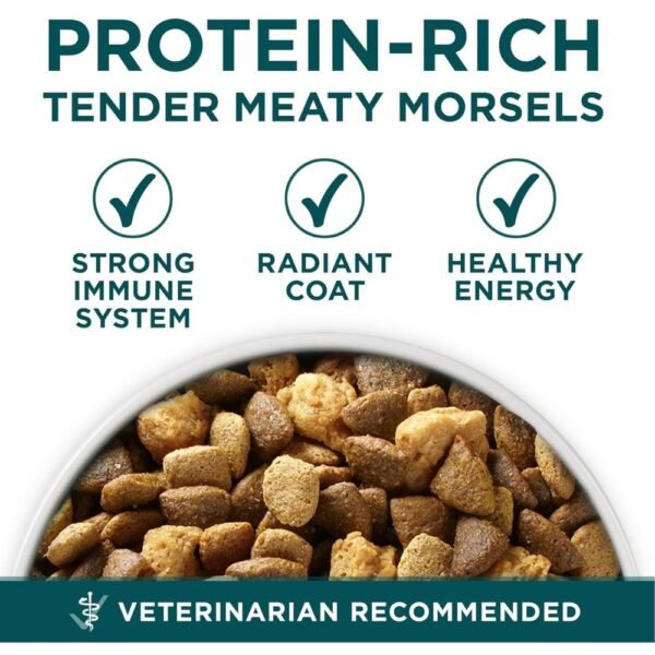 Purina ONE Plus Large Breed Puppy Food