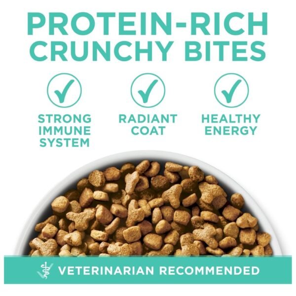 Purina ONE Sensitive Stomach – 16 lb. Bag