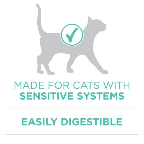 Purina ONE Sensitive Stomach – 16 lb. Bag
