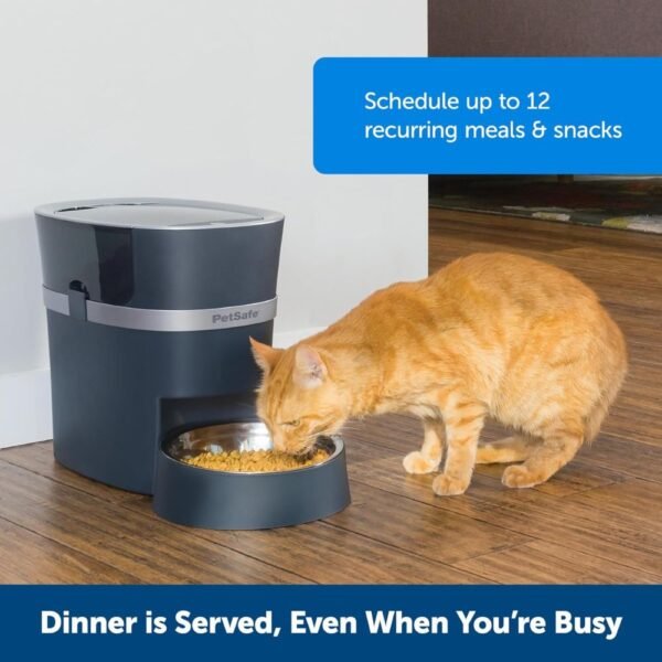 Electronic Pet Feeder for Cats & Dogs