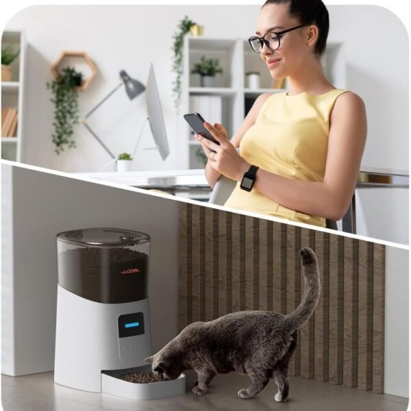 WOPET 6L Automatic Cat Feeder