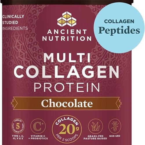 Ancient Nutrition Hydrolyzed Collagen Peptides Powder with Probiotics, Chocolate Multi Collagen Protein for Women and Men with Vitamin C, 40 Servings, Supports Skin and Nails, Gut Health, 16.65oz1