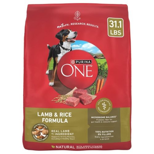 Purina ONE Dry Dog Food- 31.1 lb. Bag