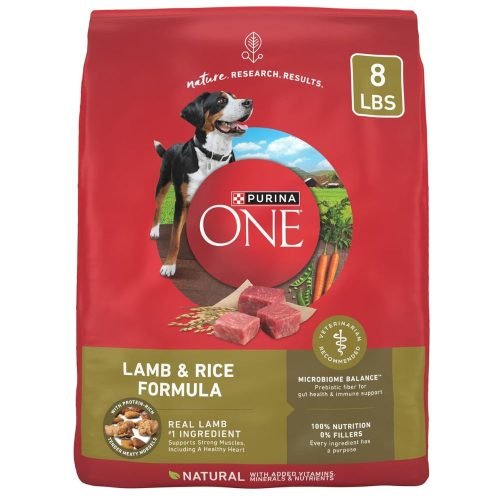 Purina ONE Dry Dog Food