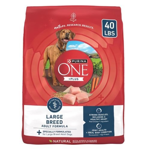 Purina ONE Plus Large Breed Adult Dog