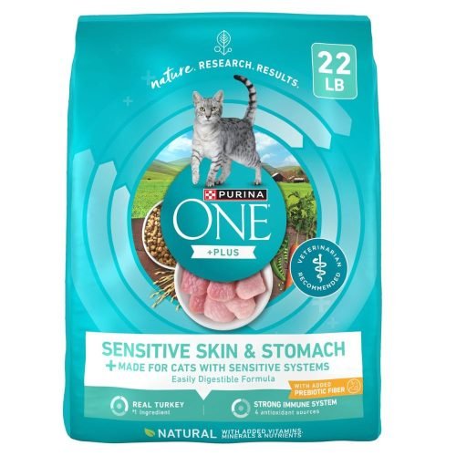 Purina ONE Sensitive Stomach – 22 lb. Bag