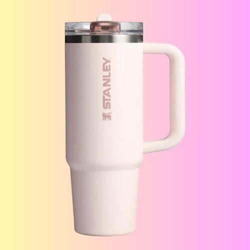 STANLEY Quencher Tumbler
